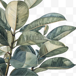 绿叶立体植物图片_绿叶植物元素立体免抠图案