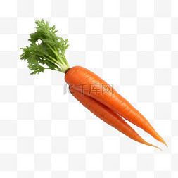 胡萝卜蔬菜元素立体免抠图案