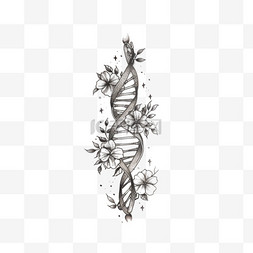 黑白DNA链元素立体免抠图案
