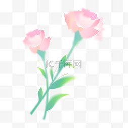 粉色康乃馨母亲节弥散花束png图片