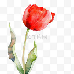 绘画玫瑰花元素立体免抠图案