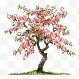 春天桃图片_春天一棵桃花树简约插画元素