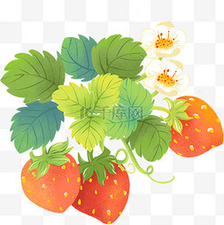 草莓设计图片_扁平风清新草莓 绿色设计