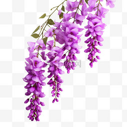 紫藤花长廊图片_美丽紫藤花元素立体免抠图案