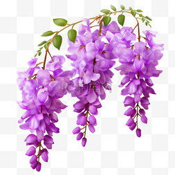 美丽紫藤花元素立体免抠图案