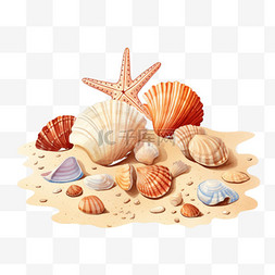 沙滩装饰图案图片_沙滩贝壳元素立体免抠图案