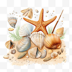 沙滩装饰图案图片_沙滩贝壳元素立体免抠图案
