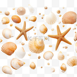 沙滩素材免抠图片_沙滩贝壳元素立体免抠图案