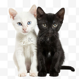 黑白猫咪元素立体免抠图案