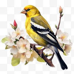 花朵小鸟装饰图片_花朵小鸟元素立体免抠图案