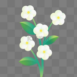 白色花朵花瓣图片_踏青春季春天弥散风白色花朵植物