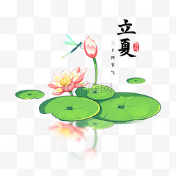 插画荷塘图片_立夏节气荷塘荷叶插画设计图