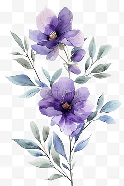 白色紫色花图片_元素春天花朵紫色花免抠手绘
