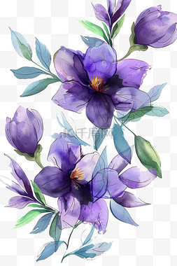 紫色花背景图片_春天花朵紫色花手绘元素免抠