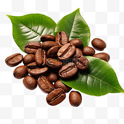 咖啡豆树叶图片_咖啡豆树叶元素立体免抠图案
