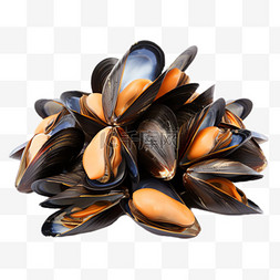 蛤蜊珍珠元素立体免抠图案