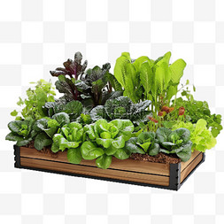 蔬菜伴侣图片_菜园蔬菜元素立体免抠图案