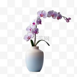 透明直筒花瓶图片_蝴蝶兰花瓶元素立体免抠图案