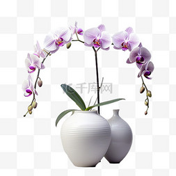 蝴蝶兰花瓶元素立体免抠图案