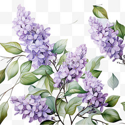 紫罗兰花朵元素立体免抠图案