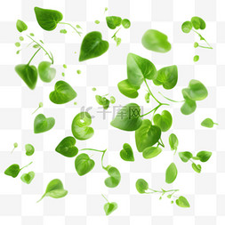 绿色树叶元素免抠图案立体