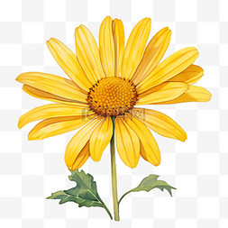 待开放的花朵图片_向日葵花朵元素立体免抠图案