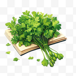香菜图片_香菜蔬菜元素立体免抠图案