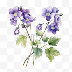 紫罗兰鲜花元素立体免抠图案