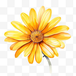 向日葵花朵元素立体免抠图案