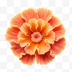 珊瑚花朵元素立体免抠图案