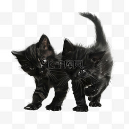 黑猫图案图片_黑猫宠物元素立体免抠图案