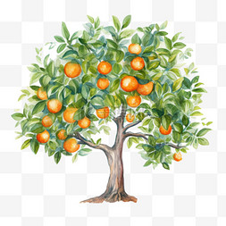 树图片_茂盛橘树元素立体免抠图案