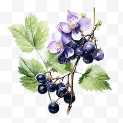 新鲜蓝莓元素立体免抠图案