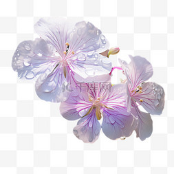 淡粉花朵元素立体免抠图案