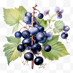 新鲜空气每一天图片_新鲜蓝莓元素立体免抠图案