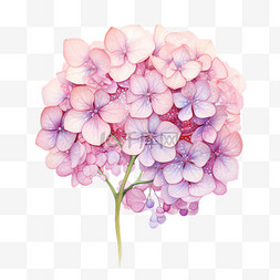 粉色绣球花元素立体免抠图案