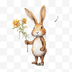 白兔子灰兔子图片_兔子雏菊元素立体免抠图案
