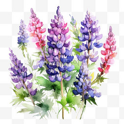 紫罗兰粉图片_紫罗兰鲜花元素立体免抠图案