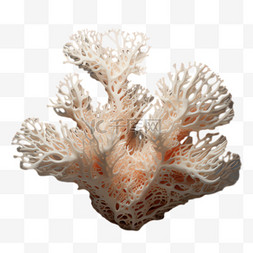 珊瑚海洋图片_珊瑚海洋元素立体免抠图案