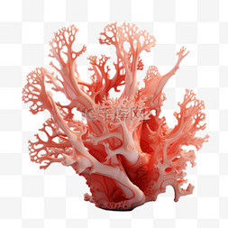 立体珊瑚图片_珊瑚海洋元素立体免抠图案