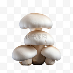 蘑菇食物元素立体免抠图案