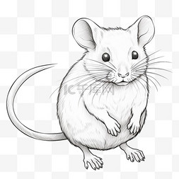 老鼠图案图片_老鼠动物元素立体免抠图案