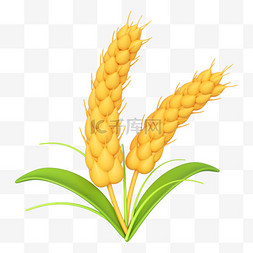 金色麦穗麦子图片_C4D立体金色麦穗图片