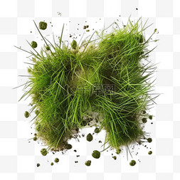 小草装饰图案图片_绿色小草元素立体免抠图案