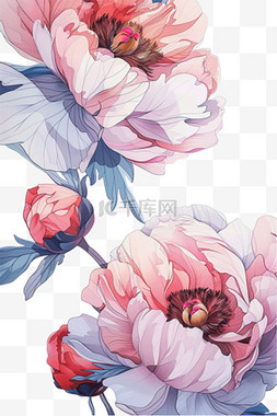 抽象白色花朵图片_手绘牡丹花朵插画免抠元素