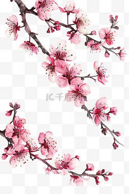 白色的樱花手绘图片_元素盛开樱花手绘免抠