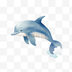 海豚免抠素材图片_海豚海洋元素立体免抠图案