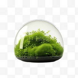 立体写实图片_绿植盆栽元素立体免抠图案