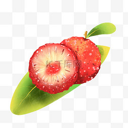 杨梅水果插画素材