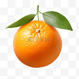 橙子水果元素立体免抠图案